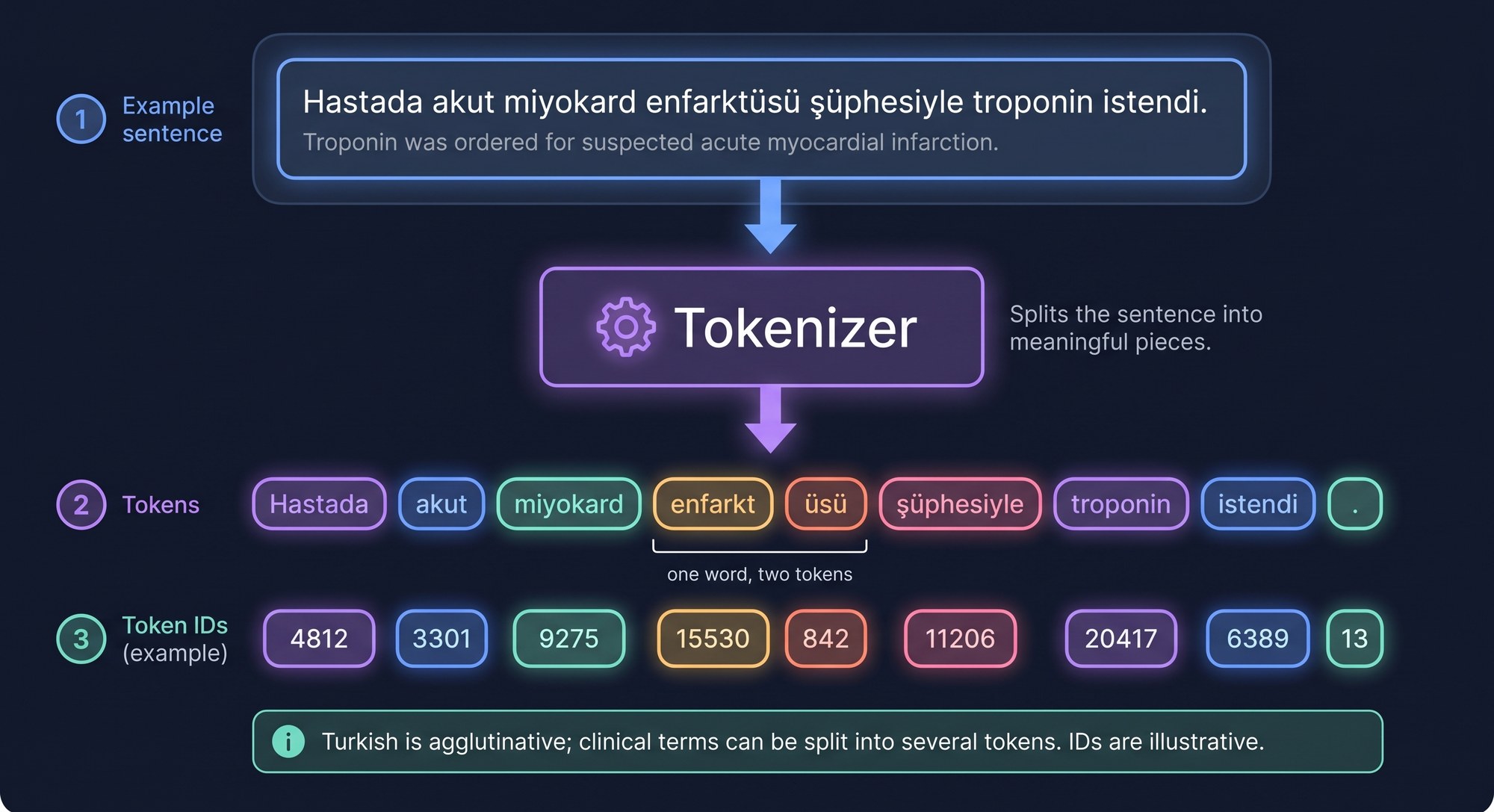 Tokenization example: the Turkish sentence “Hastada akut miyokard enfarktüsü şüphesiyle troponin istendi.” (Troponin was ordered for suspected acute myocardial infarction.) passes through the tokenizer and is split into the tokens Hastada, akut, miyokard, enfarkt, üsü, şüphesiyle, troponin, istendi and a full stop, each shown with an example token ID.