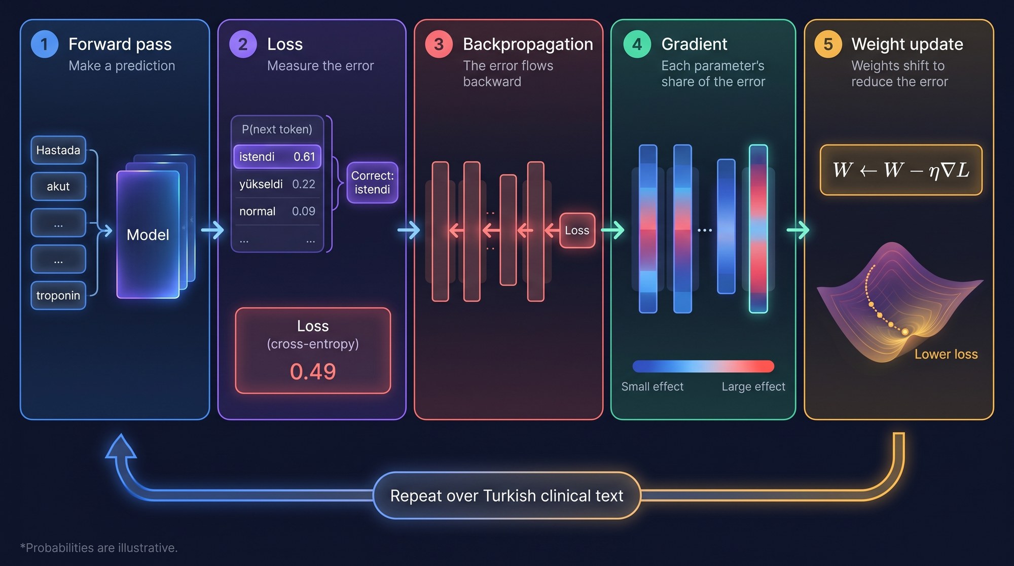 Continued pre-training loop: a forward pass with example probabilities for the next token, loss calculated with cross-entropy, backpropagation, gradient and a weight update with the formula W ← W − η∇L; a return arrow shows that the loop repeats over Turkish clinical text.