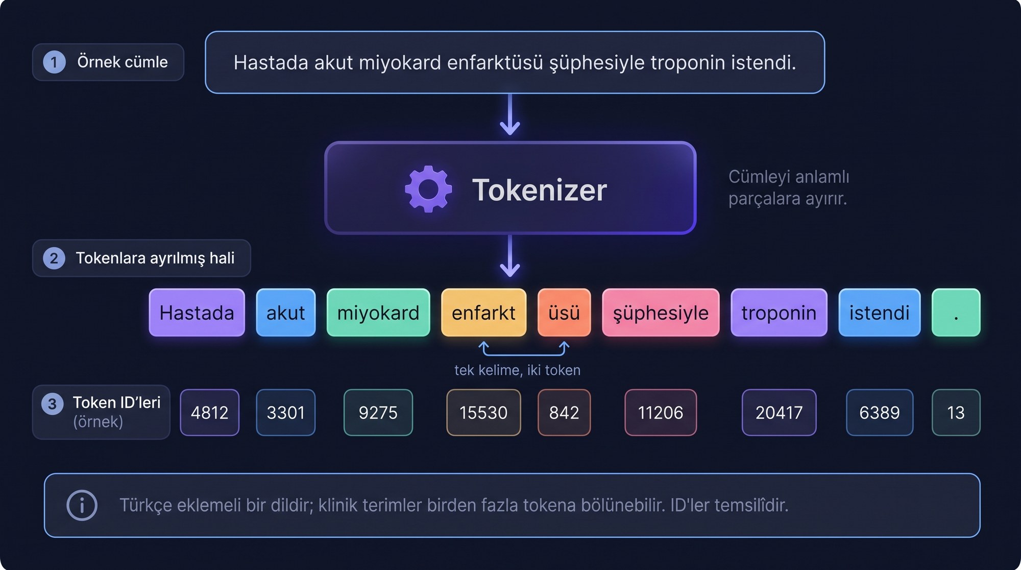 Tokenizasyon örneği: “Hastada akut miyokard enfarktüsü şüphesiyle troponin istendi.” cümlesi tokenizer'dan geçerek Hastada, akut, miyokard, enfarkt, üsü, şüphesiyle, troponin, istendi ve nokta tokenlarına ayrılır; her tokenın altında örnek bir token ID'si yer alır.