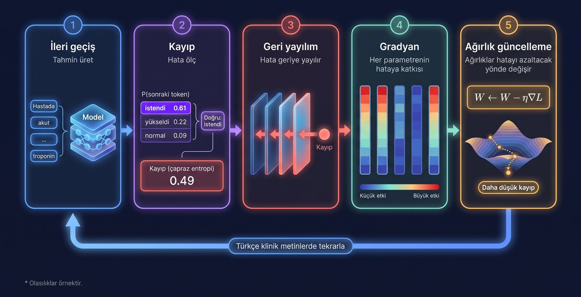 Sürekli ön eğitim döngüsü: sıradaki token için örnek olasılıklarla ileri geçiş, çapraz entropiyle hesaplanan kayıp, geri yayılım, gradyan ve W ← W − η∇L formülüyle ağırlık güncelleme; dönüş oku döngünün Türkçe klinik metinler üzerinde tekrarlandığını gösterir.